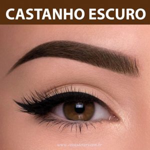 Henna Para Sobrancelhas Castanho Escuro 2,5g - Hintz Cosmetics